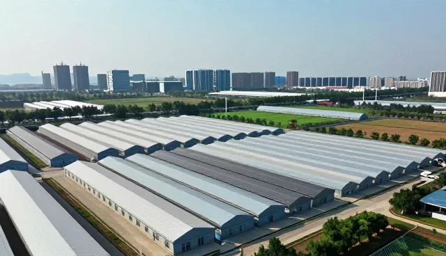 技术转让中的业务流程优化实践与常见问题解析